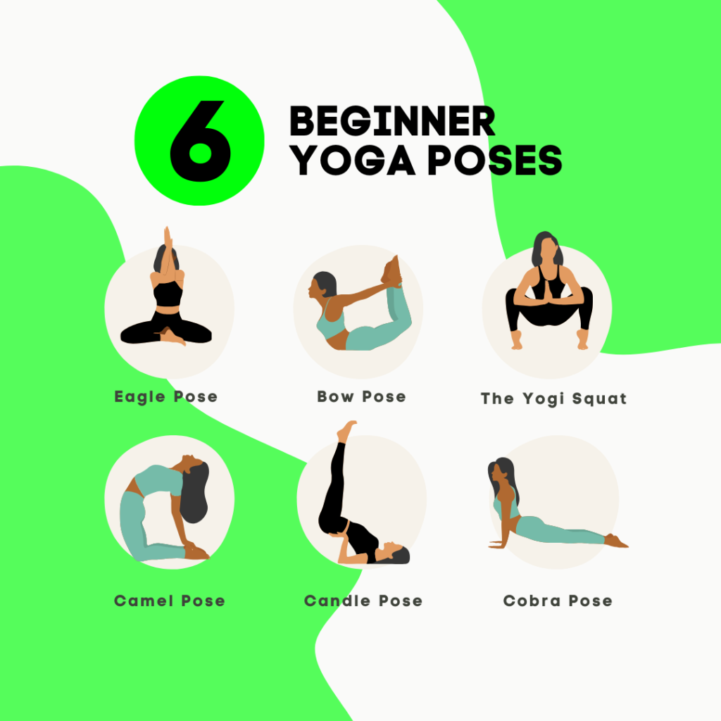 beginner's guide to yoga